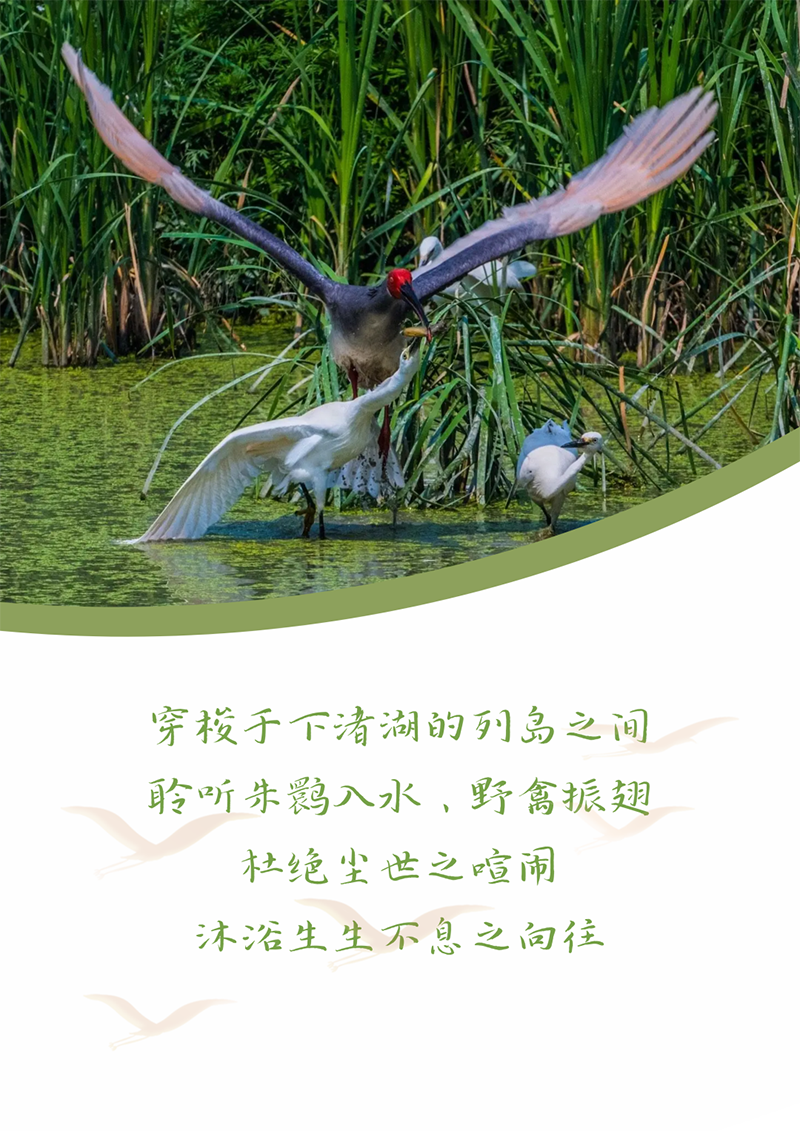 心心念廿 相伴ag尊龙 | 与德清相约 贺廿载诞辰